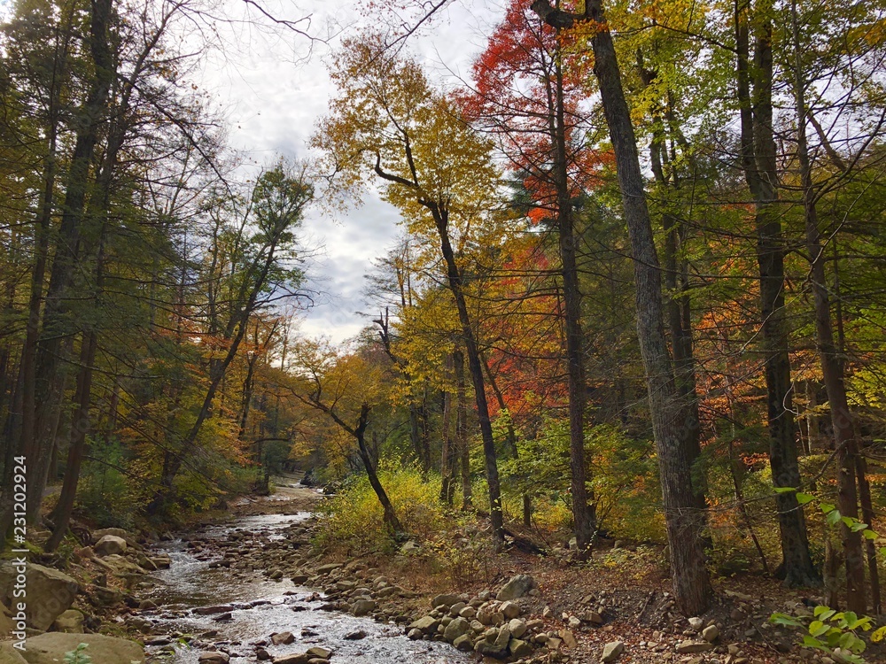Autumn scene in Minnewaska State Park Preserve in New York Autumn scene in Minnewaska State Park Preserve in New York