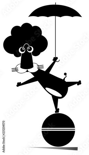 Fototapeta Naklejka Na Ścianę i Meble -  Lion with umbrella stays on the ball isolated illustration. Cartoon lion with umbrella stays on the ball black on white illustration

