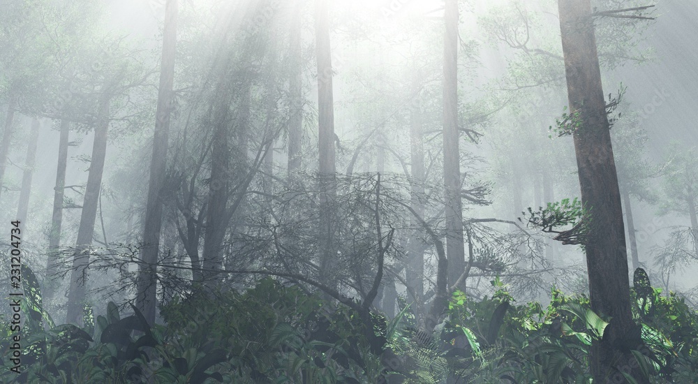 Obraz premium forest in the fog, rays of light in the forest,