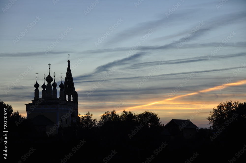 Obraz premium лес