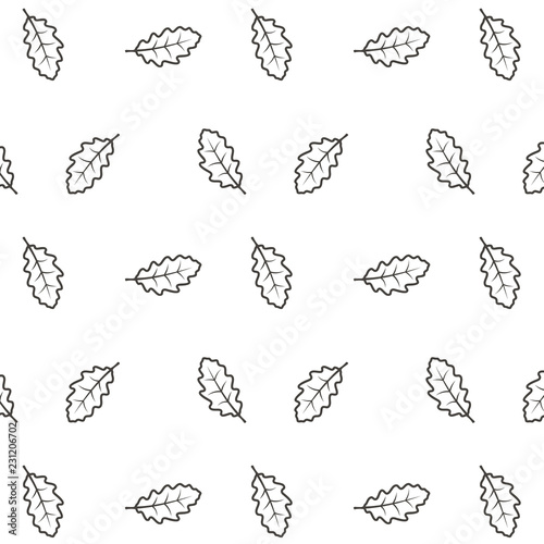 seamless pattern oak leaf on white