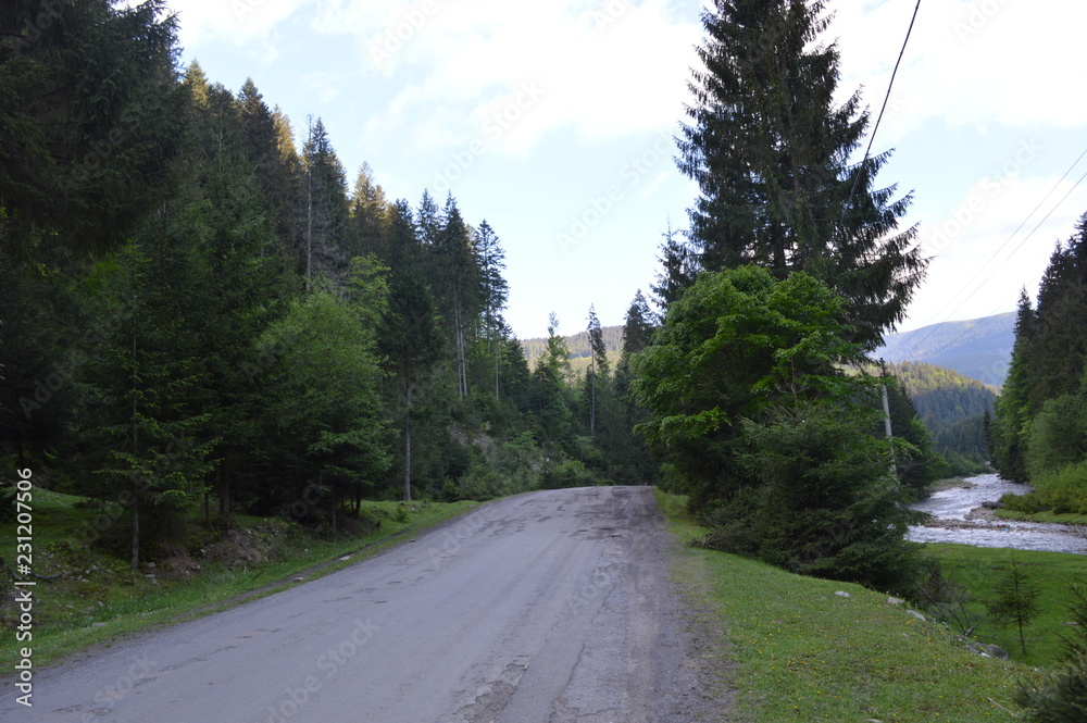 road in the mountains.Transcarpathia. 
