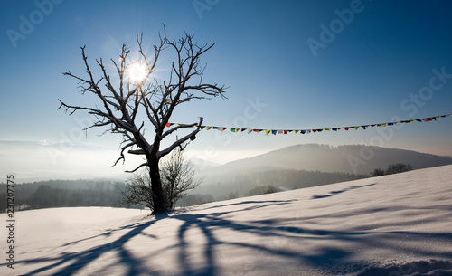 Bilde på lerret Winterlandschaft mit einzelnem Baum an dem eine tibetischer Gebetsfahne hängt