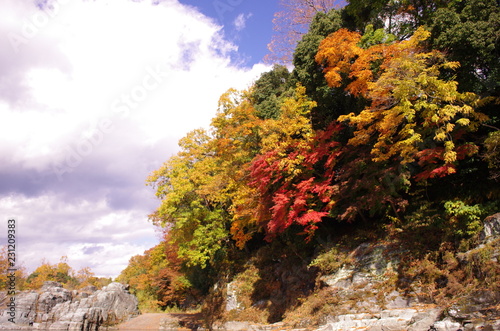 紅葉