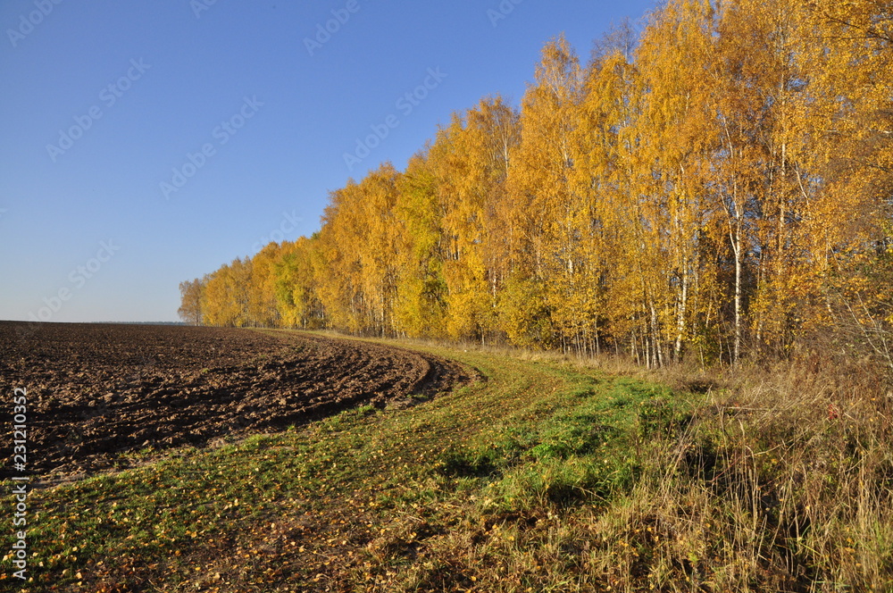 осень