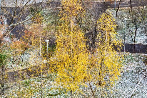 aerial view of urban park covered by first snow