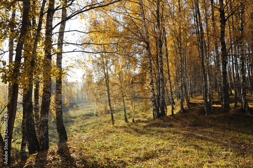 осень