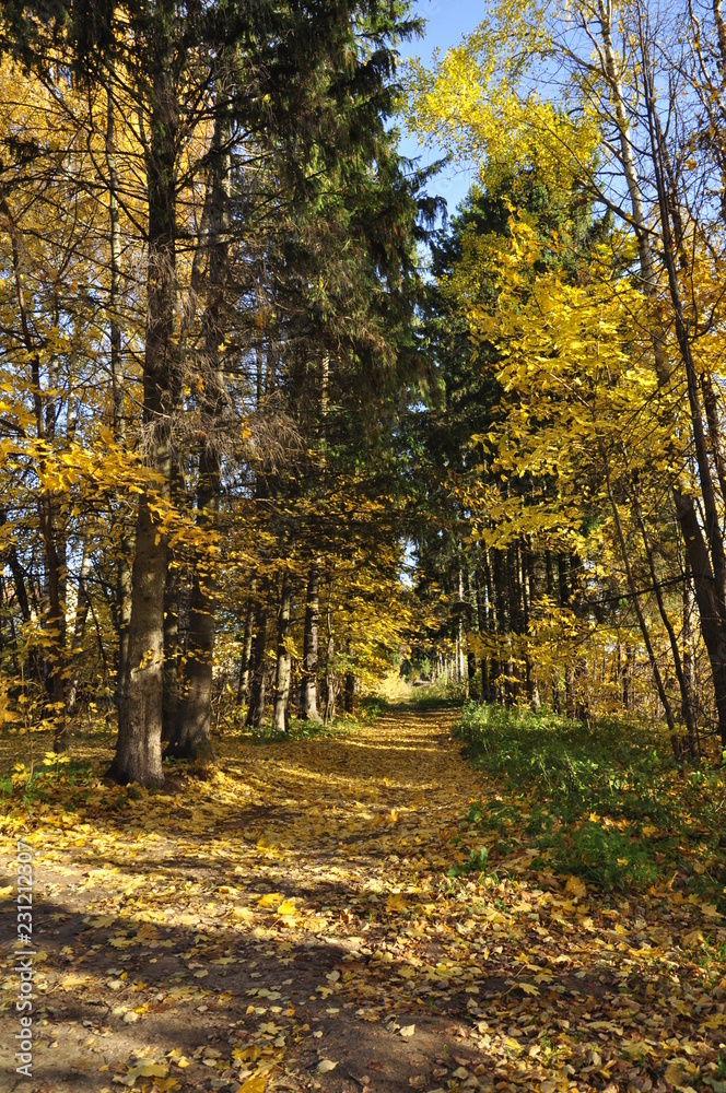 осень осень