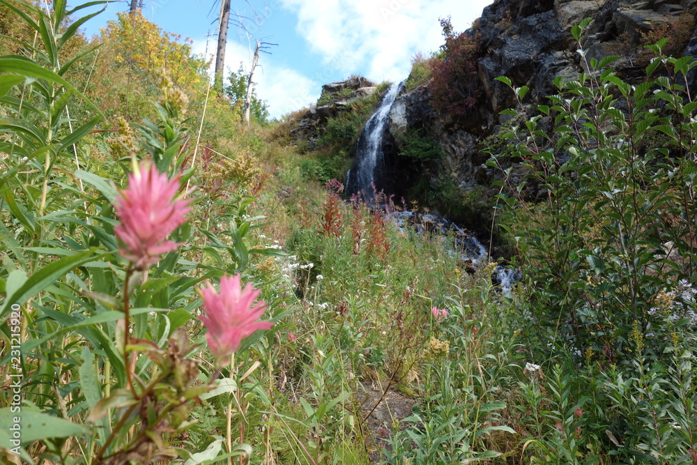 Obraz premium Landscapes of the Pacific Northwest, Washington State