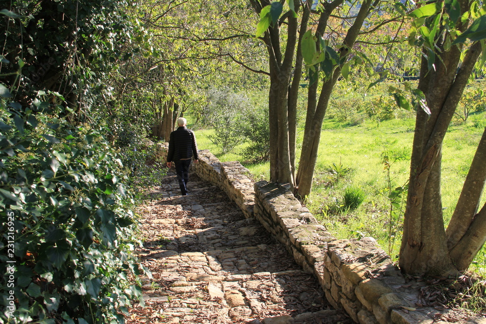Escalier en pierre Stock Photo Adobe Stock