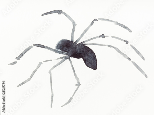 running spider drawn by black watercolors