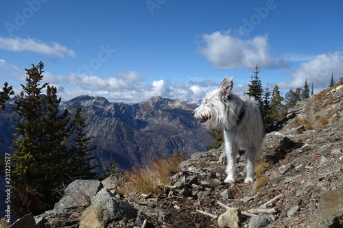 Landscapes of the Pacific Northwest, Wshington State photo