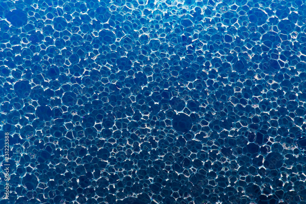  blue sponge close up macro