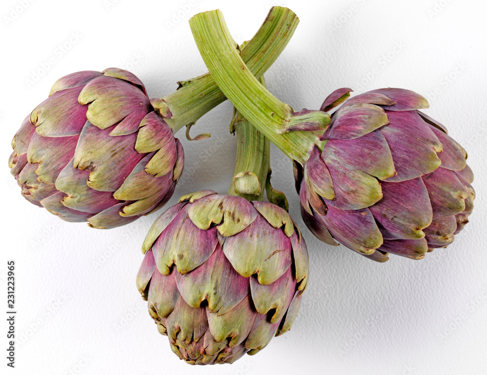Obraz premium ARTICHOKES