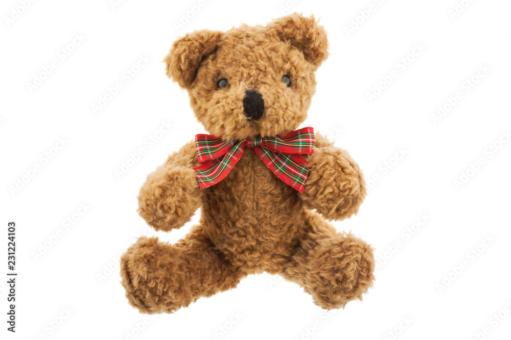 Teddy bear isolated on white background