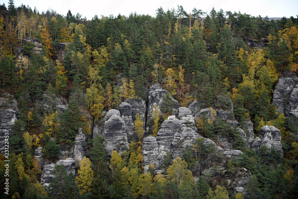 Saxony Mountains & Forest Saxony Mountains & Forest