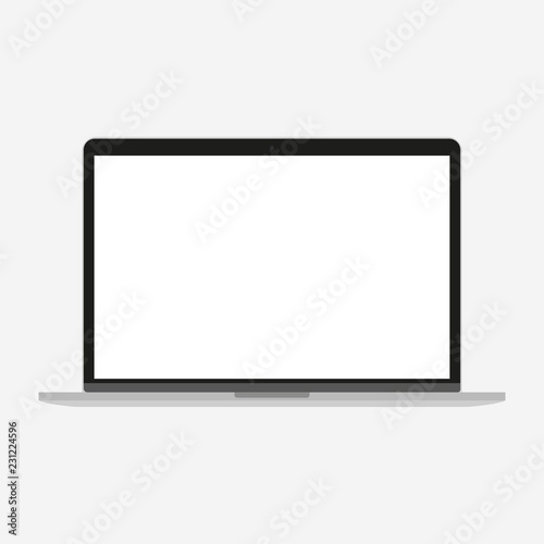 Electronic device in a flat style style  vector