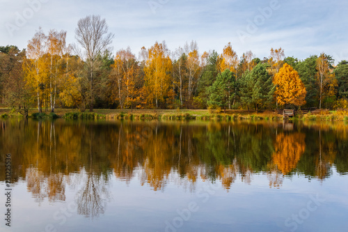 Gold autumn
