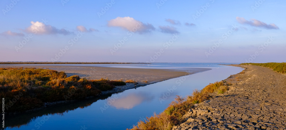 Obraz premium Paysage Camargue