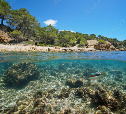 Rocky cove with fish underwater near the sea shore  split view half above and below water surface  Mediterranean sea  Catalonia  L Ametlla de Mar  Tarragona  Costa Dorada  Spain