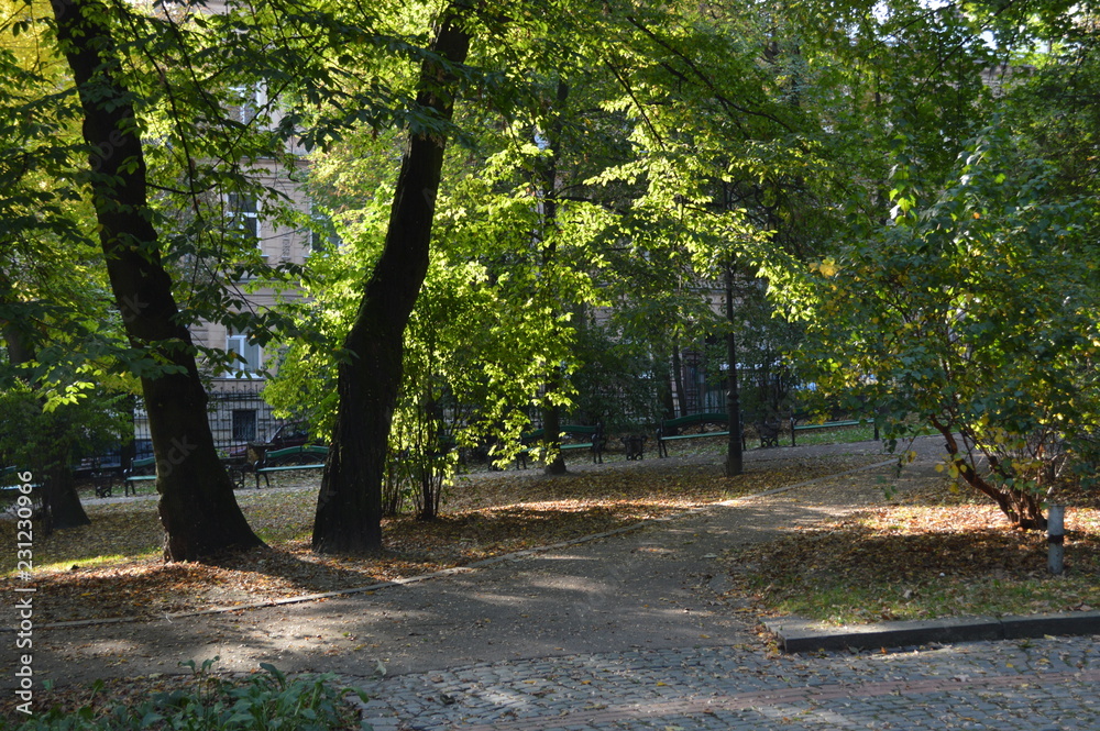 alley in the park.Lviv
