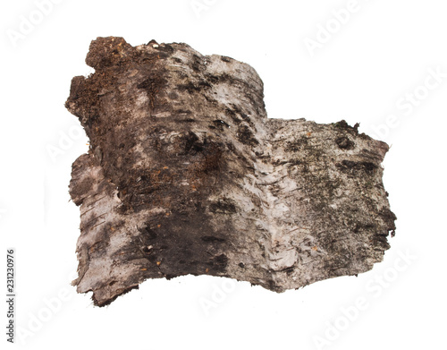 bark isolated on white background