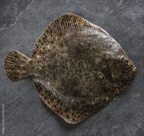 Raw whole flounder fish on dark stone background, top view. photo