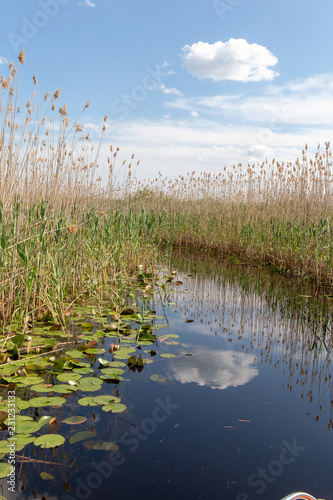 Seitenkanal im Donaudelta