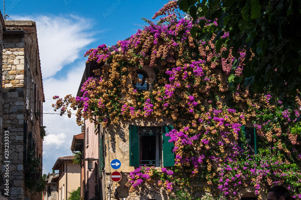 Flowers on the walls of houses in the city of Sirmione