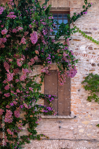 Flowers on the walls of houses in the city of Sirmione