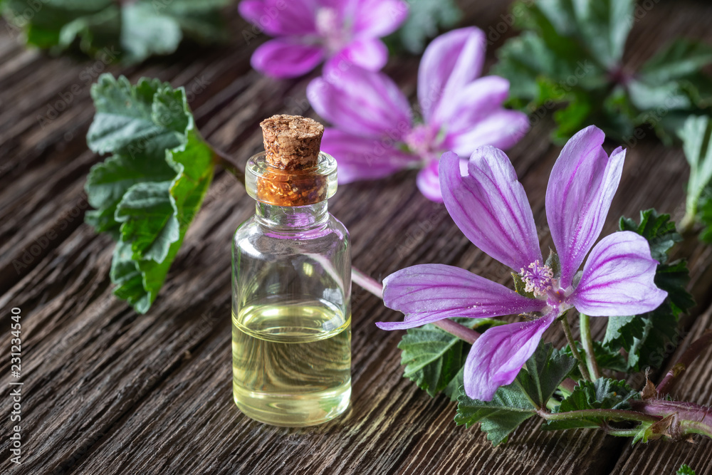 A bottle of common mallow essential oil with blooming malva sylvestris twigs A bottle of common mallow essential oil with blooming malva sylvestris twigs