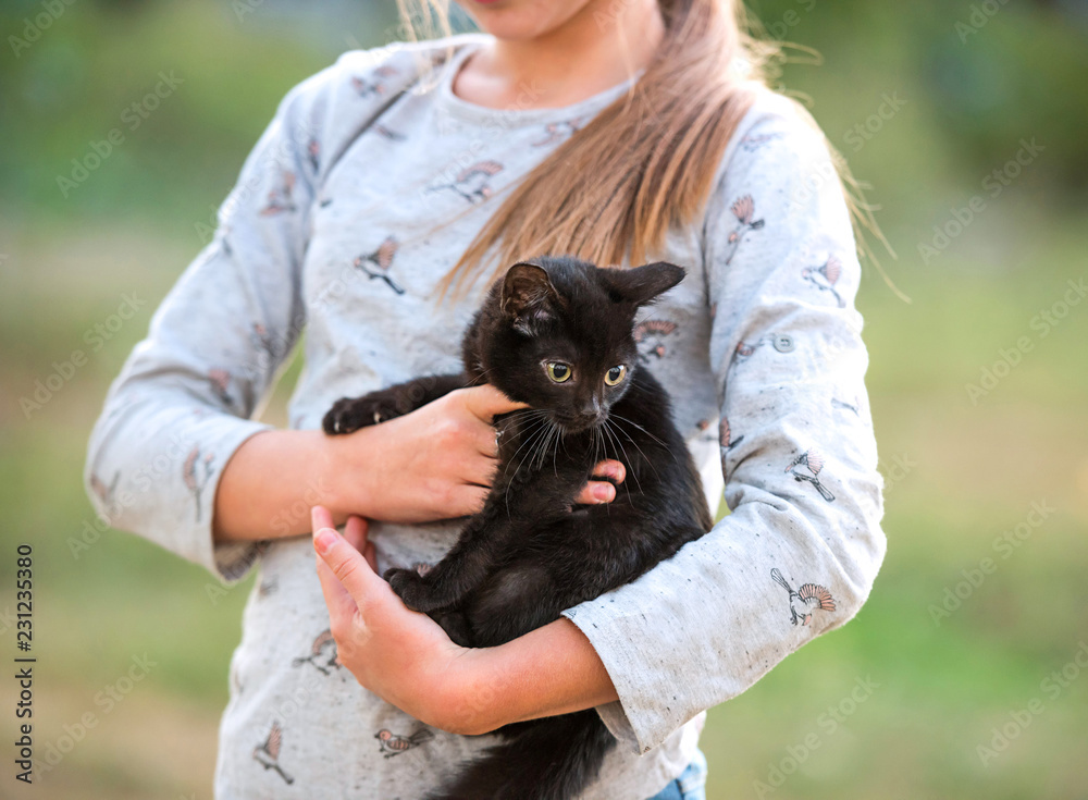 Blond girl holding little kitten Blond girl holding little kitten