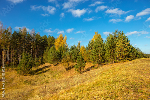 Country road on the background of the autumn landscape and a huge blue sky