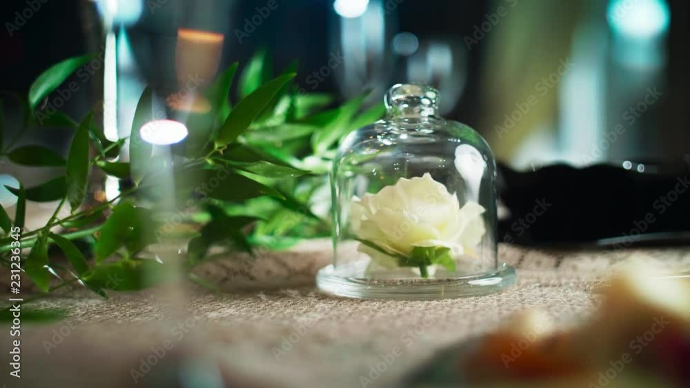 decorative flower under a glass bulb lying on a table next to a green branch surrounded by glasses and plates decorative flower under a glass bulb lying on a table next to a green branch surrounded by glasses and plates