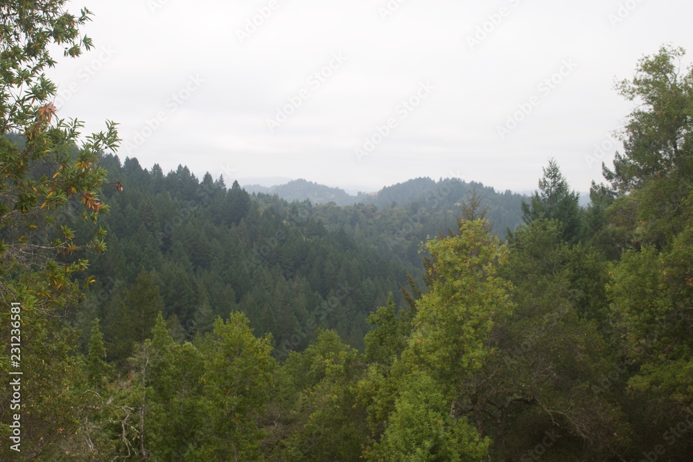 Austin Creek State Recreation Area is a state park unit of California, United States, encompassing an isolated wilderness area. Austin Creek State Recreation Area is a state park unit of California, United States, encompassing an isolated wilderness area.