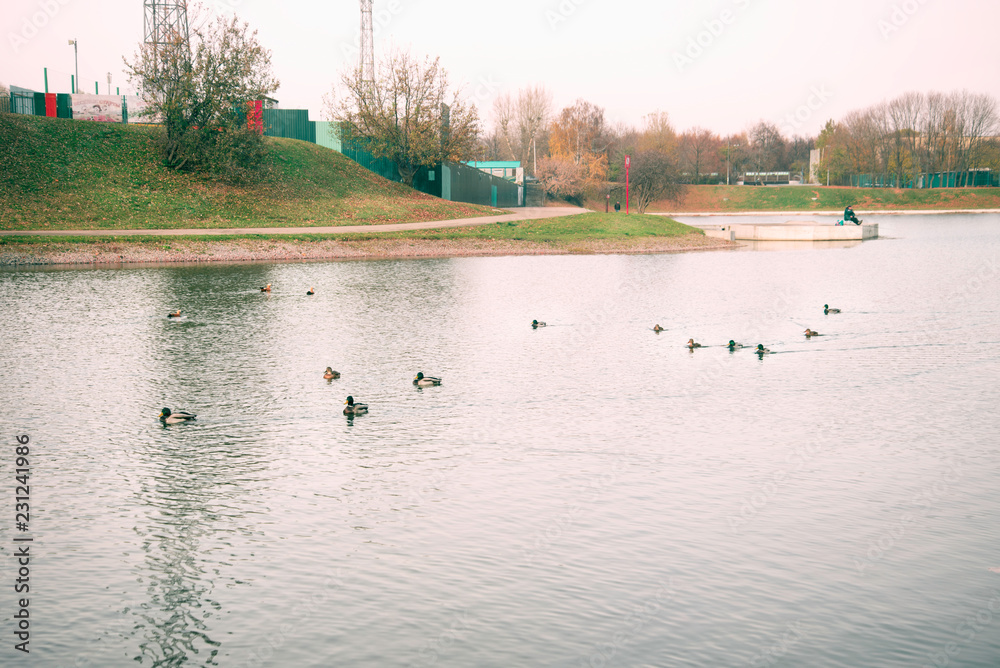 lake lake