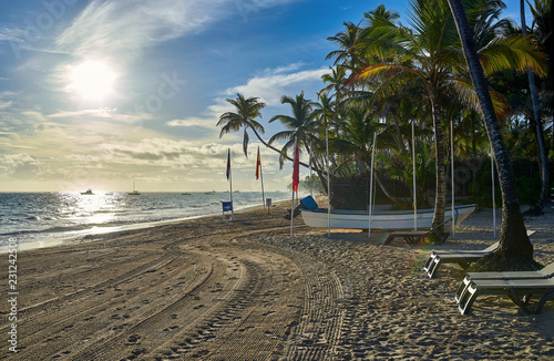 beach with palm trees photo