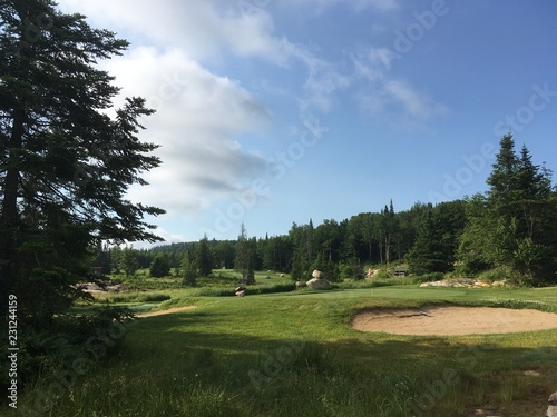 golf course on a sunny day © Vincent