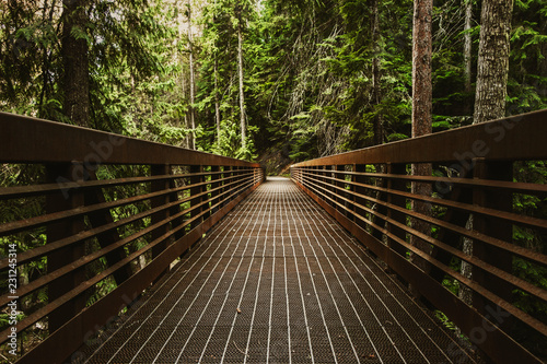Trail Bridge Through the Woods