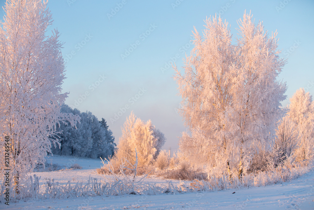 Plakat Winter landscape