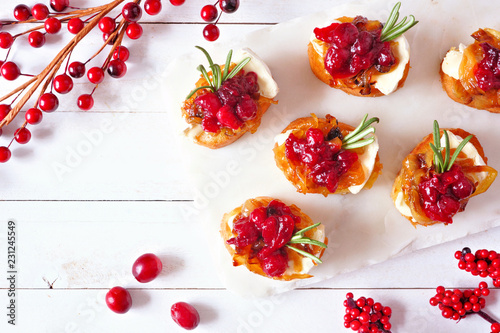 Holiday crostini appetizers with cranberries, brie and caramelized onions Fotobehang