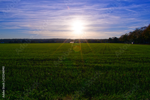 Sunset in Germany