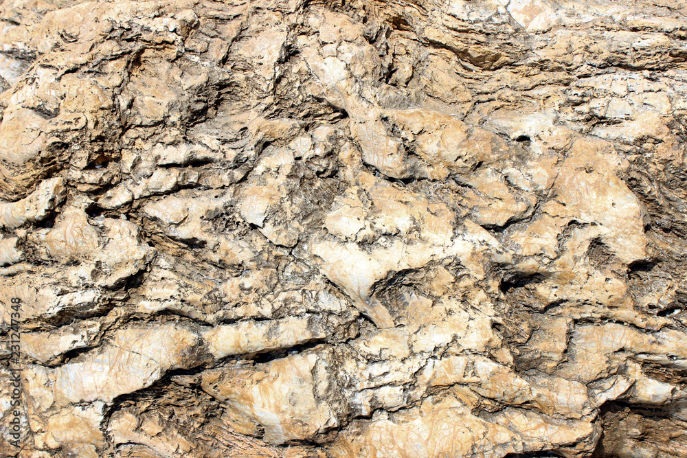 Carved yellow sedimentary rock surface texture detail