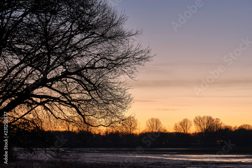 Abendhimmel mit Baumsilhouetten © reimax16