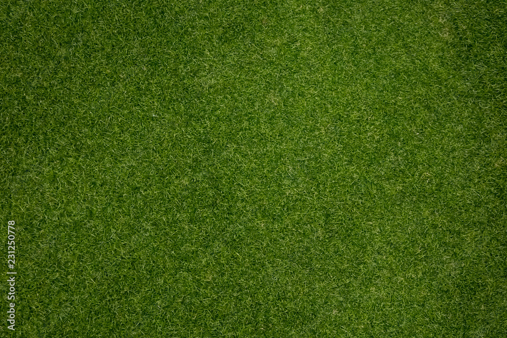 Fototapeta dywan ze sztucznej trawy