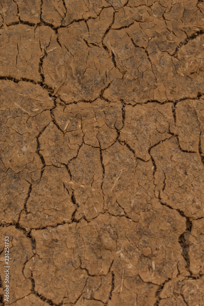 Fototapeta premium Cracked earth