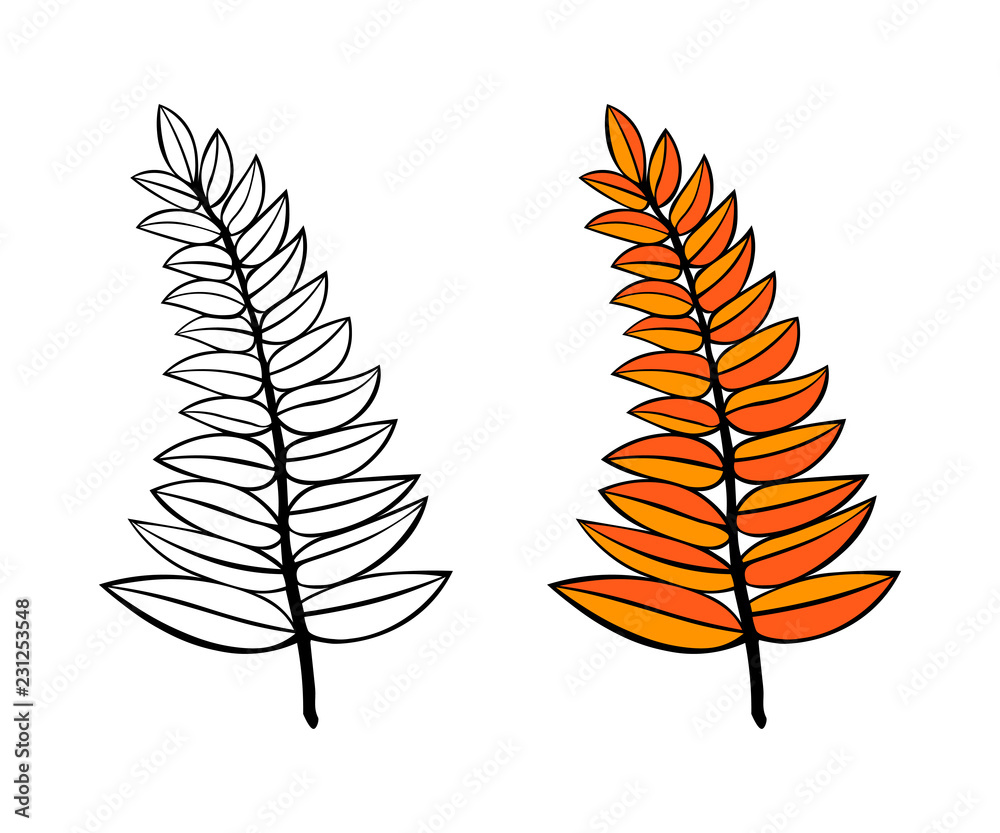 Fototapeta premium vector branches. hand drawn tree branches with leaves isolated on white background. design element leaves decoration tattoo. logo
