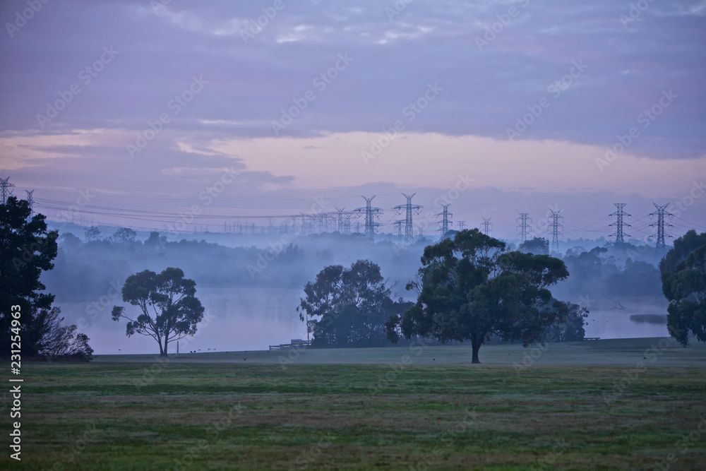 Electrical Pylons