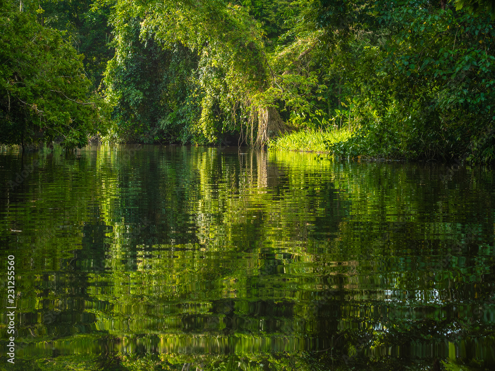 Seen on tropical river, reflections in the water