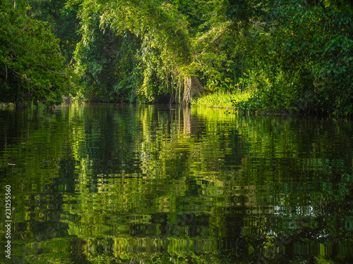 Seen on tropical river, reflections in the water